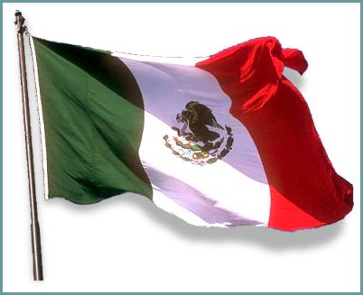 Bordadoras Usadas Mexico